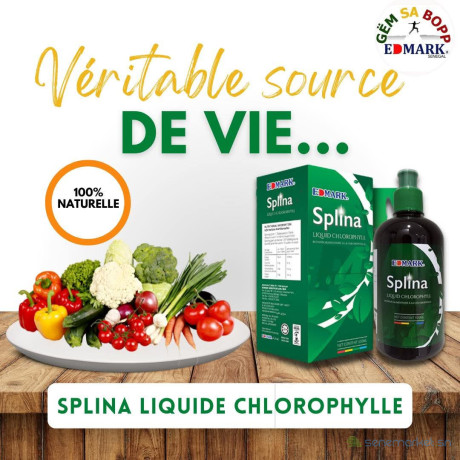 splina-liquide-chlorophyle-meilleure-boisson-de-sante-big-4