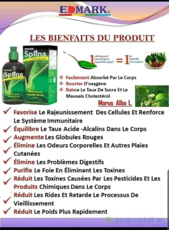 splina-liquide-chlorophyle-meilleure-boisson-de-sante-big-1