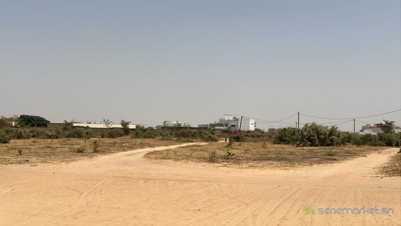 terrains-de-225-metres-carres-a-gandigal-sn-big-2