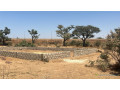 terrains-de-300-metres-carres-a-vendre-a-malicounda-peage-small-3