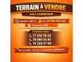 terrain-a-vendre-a-saly-carrefour-small-0