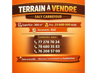 Terrain A Vendre à saly carrefour