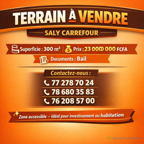 terrain-a-vendre-a-saly-carrefour-big-0