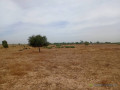 terrain-agricole-de-7783-m2-vers-tassette-thies-small-0