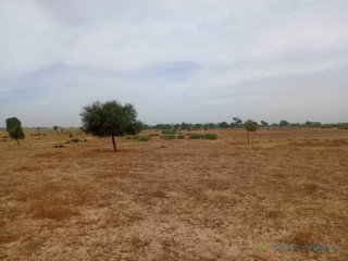 Terrain Agricole de 7783 M² vers Tassette Thiès