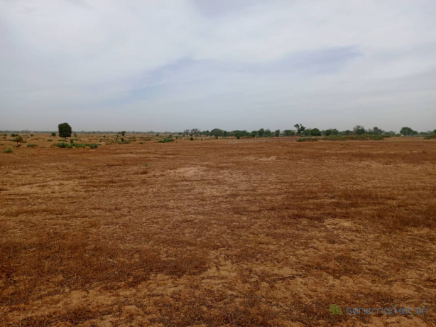 terrain-agricole-de-7783-m2-vers-tassette-thies-big-1