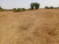 investissement-vert-234-hectares-strategique-dans-la-zone-horticole-de-notto-diobass-small-0