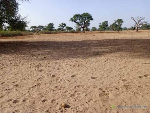 lancez-votre-projet-denvergure-2-hectares-strategiques-vers-tassette-thies-big-0