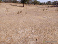 250-hectares-a-fort-potentiel-lemplacement-ideal-vers-tassette-thies-small-2