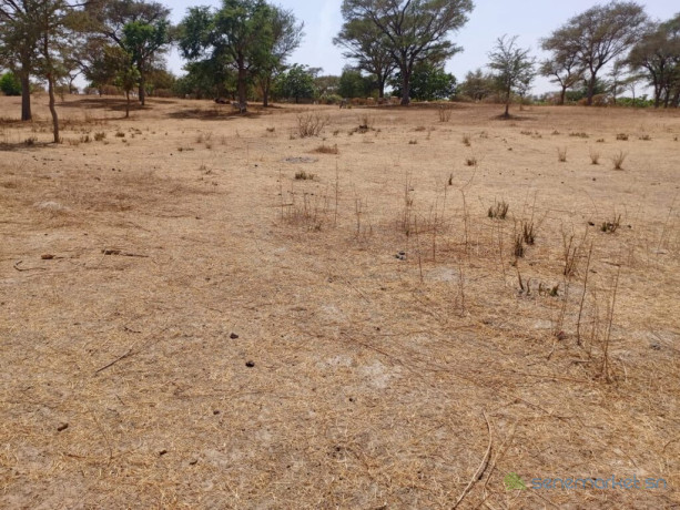 250-hectares-a-fort-potentiel-lemplacement-ideal-vers-tassette-thies-big-1