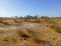 batissez-grand-sur-un-terrain-agricole-de-160-hectares-idealement-situe-vers-diama-saint-louis-small-2