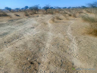 Bâtissez grand sur un Terrain Agricole de 160 hectares idéalement situé vers Diama Saint-Louis