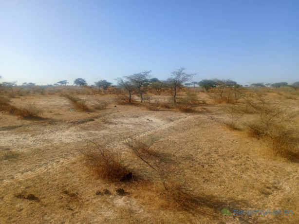 batissez-grand-sur-un-terrain-agricole-de-160-hectares-idealement-situe-vers-diama-saint-louis-big-2