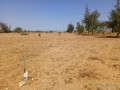 3-hectares-a-fort-potentiel-lemplacement-ideal-vers-diama-saint-louis-small-1