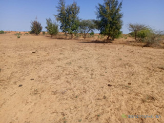 3 hectares à fort potentiel : lemplacement idéal vers Diama Saint-Louis