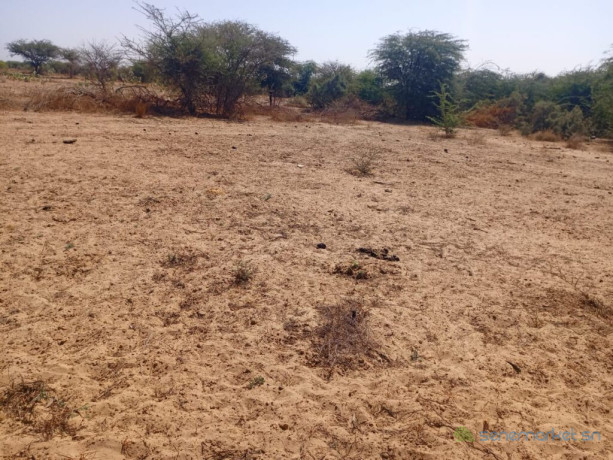 3-hectares-a-fort-potentiel-lemplacement-ideal-vers-diama-saint-louis-big-2