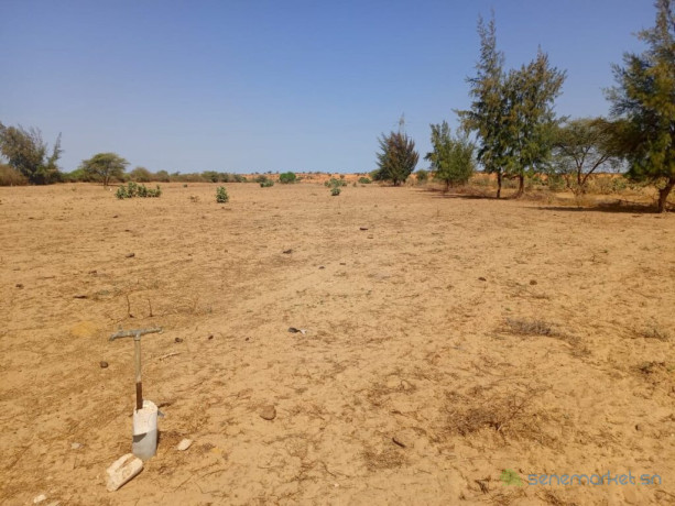 3-hectares-a-fort-potentiel-lemplacement-ideal-vers-diama-saint-louis-big-1
