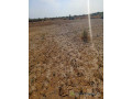 terrain-agricole-de-25-hectares-vers-diama-saint-louis-small-2