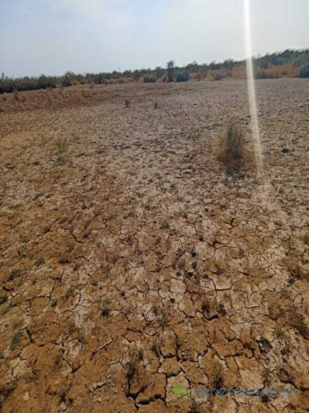 terrain-agricole-de-25-hectares-vers-diama-saint-louis-big-2