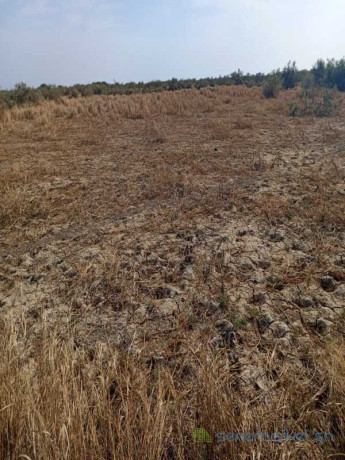 terrain-agricole-de-25-hectares-vers-diama-saint-louis-big-1