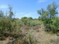 lancez-votre-projet-denvergure-429-hectares-strategiques-vers-diama-saint-louis-small-2