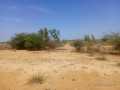 haute-productivite-vaste-terrain-agricole-de-13-hectares-vers-diama-saint-louis-small-1