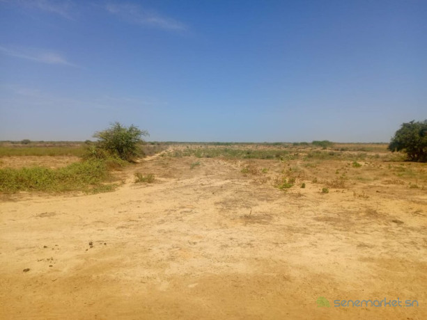 haute-productivite-vaste-terrain-agricole-de-13-hectares-vers-diama-saint-louis-big-2