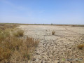 terrain-agricole-de-213-hectares-vers-diama-saint-louis-small-2