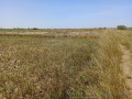 terrain-agricole-de-206-hectares-vers-diama-saint-louis-small-2