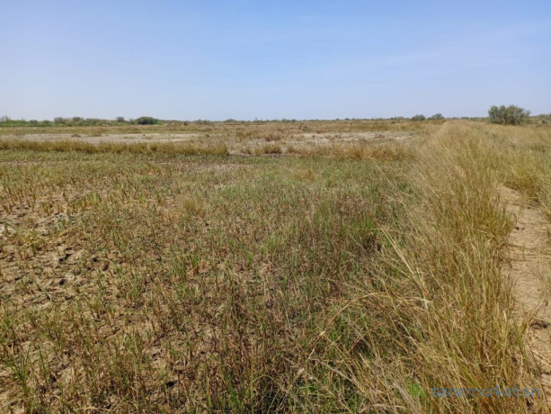 terrain-agricole-de-206-hectares-vers-diama-saint-louis-big-2