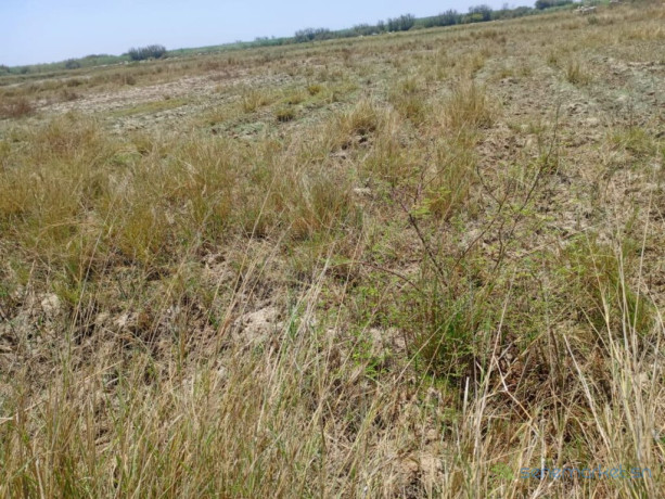 terrain-agricole-de-206-hectares-vers-diama-saint-louis-big-1