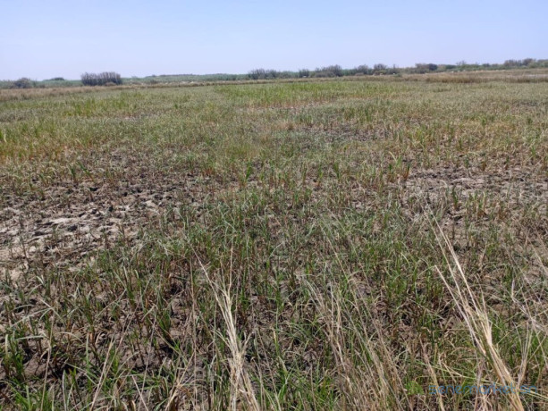 terrain-agricole-de-206-hectares-vers-diama-saint-louis-big-0