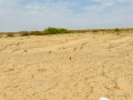 terrain-a-vendre-yenne-niayes-khaye-small-0