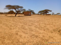 verger-de-282-hectares-vers-gandon-saint-louis-small-0