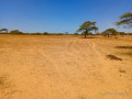 verger-de-282-hectares-vers-gandon-saint-louis-small-1