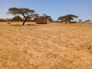 Verger de 2,82 hectares vers Gandon Saint-Louis