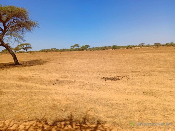 verger-de-282-hectares-vers-gandon-saint-louis-big-2