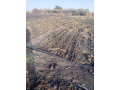 verger-de-6590-m2-vers-sessene-small-2