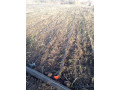 verger-de-6590-m2-vers-sessene-small-1