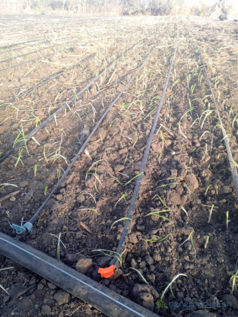 verger-de-6590-m2-vers-sessene-big-1