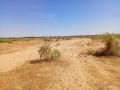 terrain-agricole-de-20-hectares-vers-tassette-thies-small-2