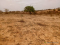 terrain-agricole-de-8279-m2-vers-kab-gaye-small-2