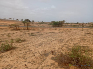 Terrain Agricole de 8.279 m² vers Kab Gaye