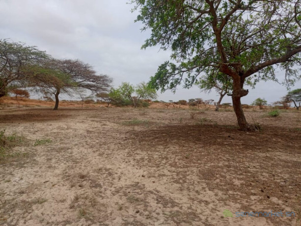 terrain-agricole-de-8279-m2-vers-kab-gaye-big-1