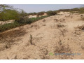 terrain-agricole-de-5-hectares-vers-kab-gaye-louga-small-1