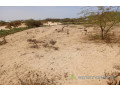 terrain-agricole-de-5-hectares-vers-kab-gaye-louga-small-2