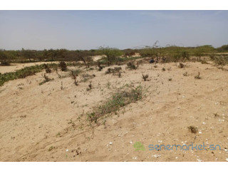 Terrain Agricole de 5 hectares vers Kab Gaye Louga