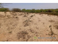 terrain-agricole-de-3-hectares-vers-kab-gaye-louga-small-1