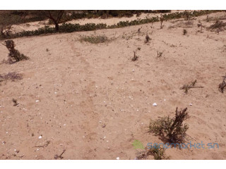 Terrain Agricole de 3 hectares vers Kab Gaye Louga