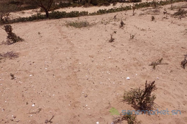 terrain-agricole-de-3-hectares-vers-kab-gaye-louga-big-0